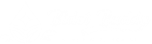 Bidet Buddy®